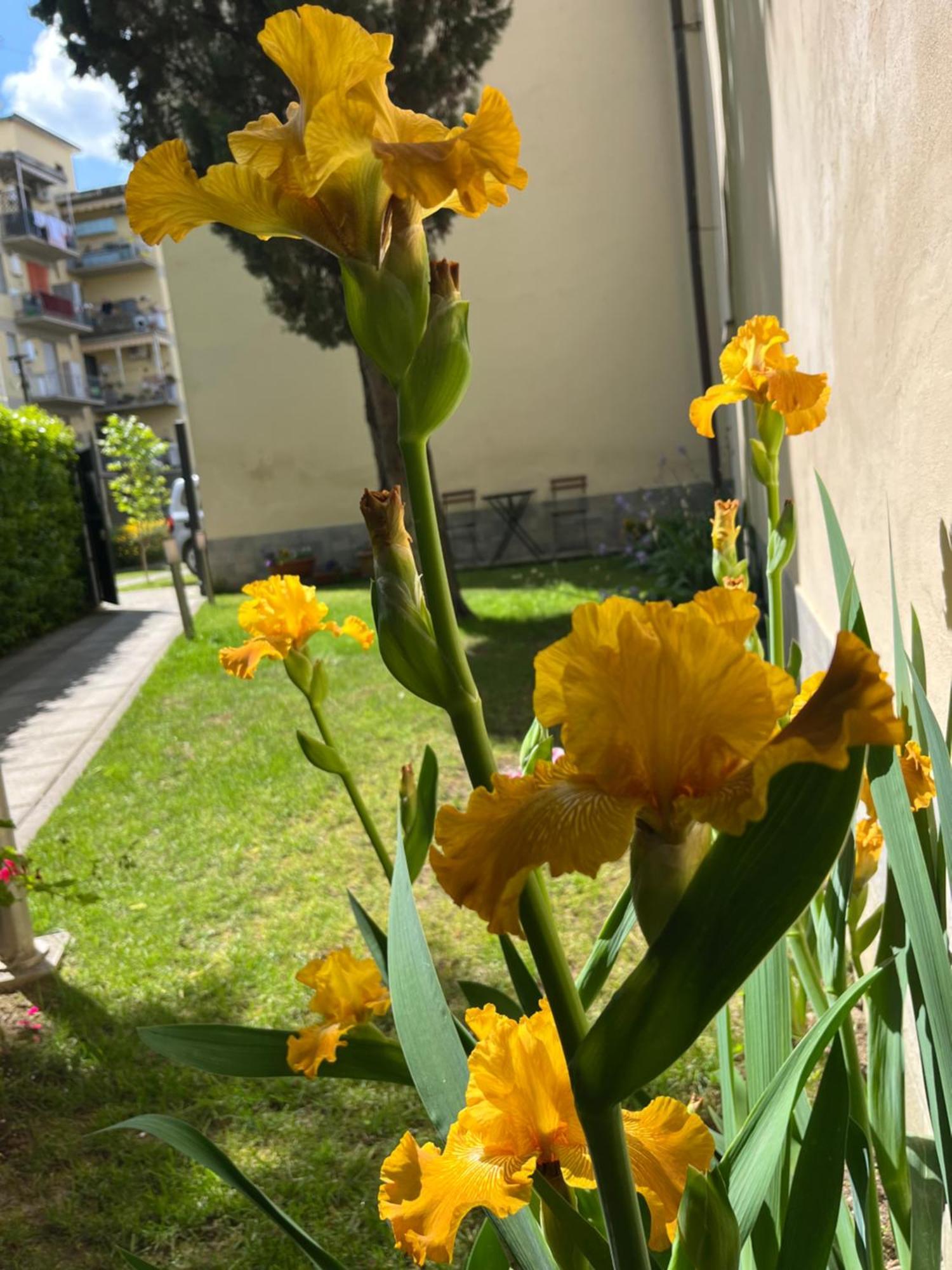 Dalu Florence Apartment Lucilla - Private Car Park 15 Minutes To The City Center ภายนอก รูปภาพ